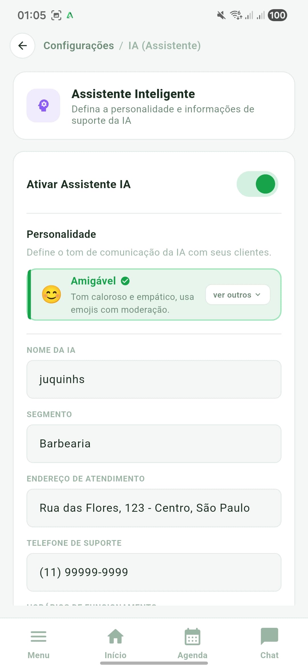 IA Assistente Agefy